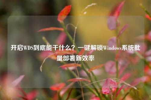 开启WDS到底能干什么?一键解锁Windows系统批量部署新效率