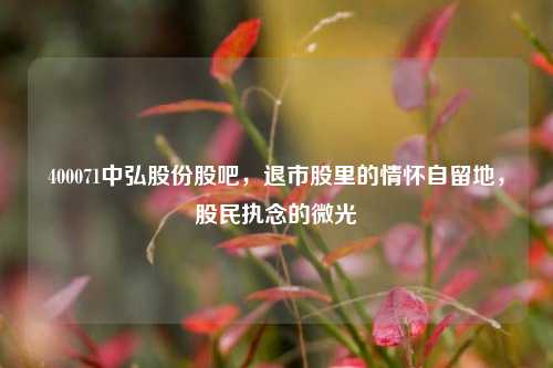400071中弘股份股吧,退市股里的情怀自留地,股民执念的微光