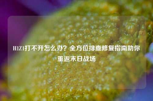 H1Z1打不开怎么办？全方位排查修复指南助你重返末日战场