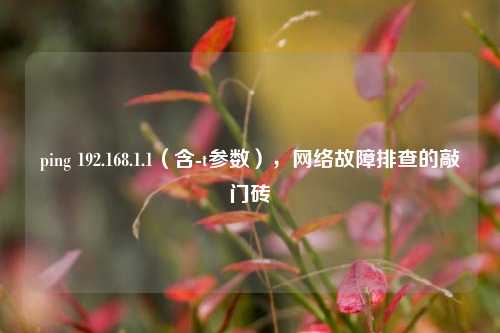 ping 192.168.1.1（含-t参数），网络故障排查的敲门砖