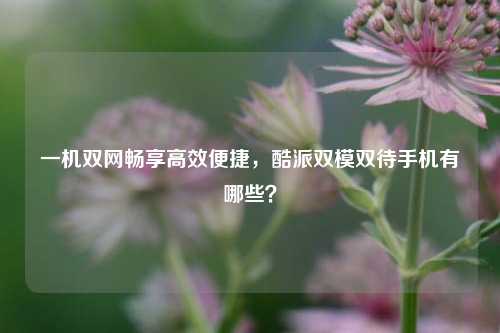 一机双网畅享高效便捷,酷派双模双待手机有哪些?