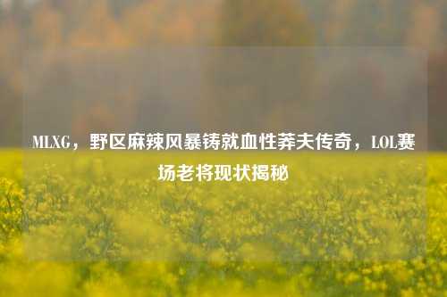 MLXG，野区麻辣风暴铸就血性莽夫传奇，LOL赛场老将现状揭秘