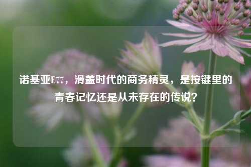 诺基亚E77,滑盖时代的商务精灵,是按键里的青春记忆还是从未存在的传说?