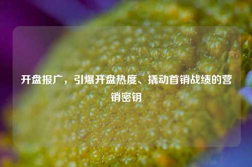 开盘报广,引爆开盘热度、撬动首销战绩的营销密钥