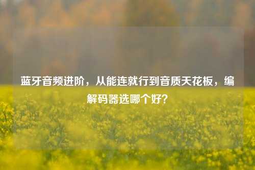 蓝牙音频进阶,从能连就行到音质天花板,编解码器选哪个好?