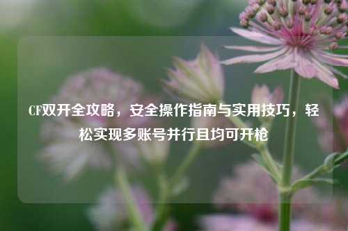 CF双开全攻略,安全操作指南与实用技巧,轻松实现多账号并行且均可开枪