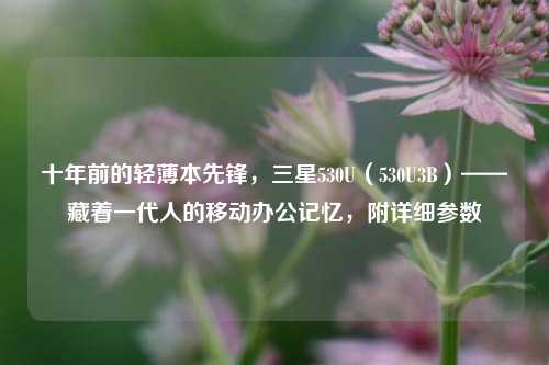 十年前的轻薄本先锋，三星530U（530U3B）——藏着一代人的移动办公记忆，附详细参数