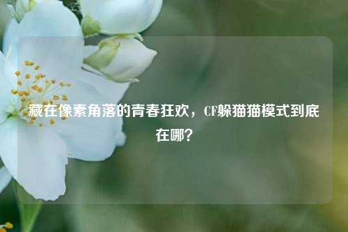 藏在像素角落的青春狂欢，CF躲猫猫模式到底在哪？