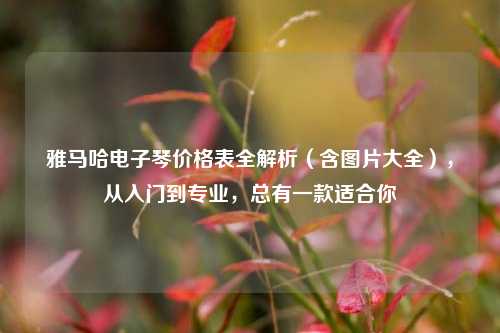 雅马哈电子琴价格表全解析（含图片大全），从入门到专业，总有一款适合你