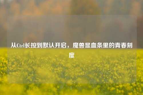 从Ctrl长按到默认开启,魔兽显血条里的青春刻度