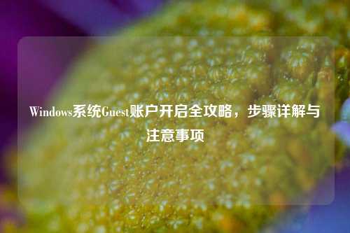 Windows系统Guest账户开启全攻略，步骤详解与注意事项