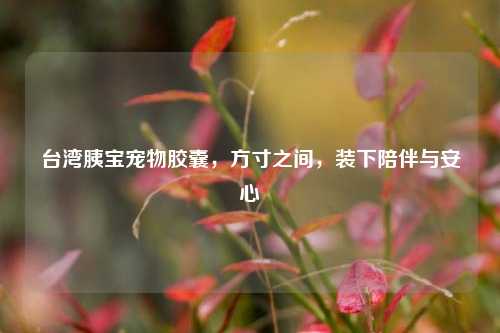 台湾胰宝宠物胶囊,方寸之间,装下陪伴与安心