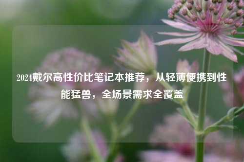 2024戴尔高性价比笔记本推荐，从轻薄便携到性能猛兽，全场景需求全覆盖