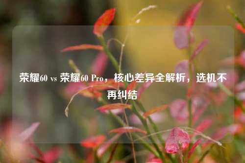 荣耀60 vs 荣耀60 Pro，核心差异全解析，选机不再纠结