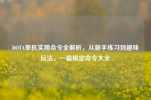 DOTA单机实用命令全解析,从新手练习到趣味玩法,一篇搞定命令大全