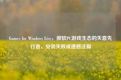 Games for Windows Live，微软PC游戏生态的失意先行者，安装失败成遗憾注脚