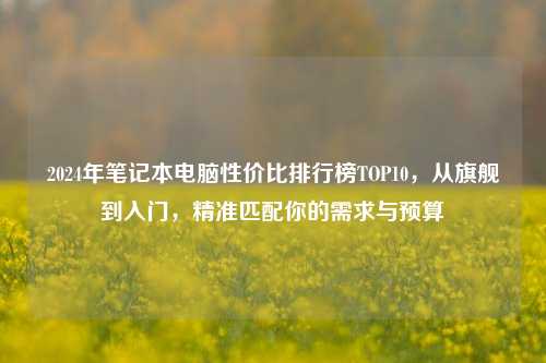2024年笔记本电脑性价比排行榜TOP10，从旗舰到入门，精准匹配你的需求与预算