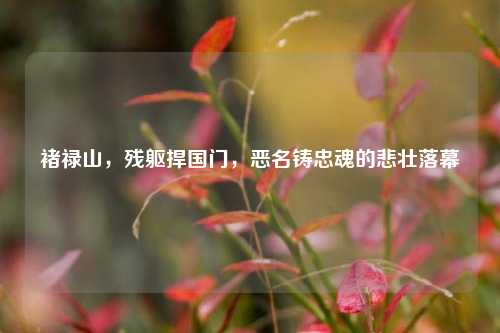 褚禄山,残躯捍国门,恶名铸忠魂的悲壮落幕