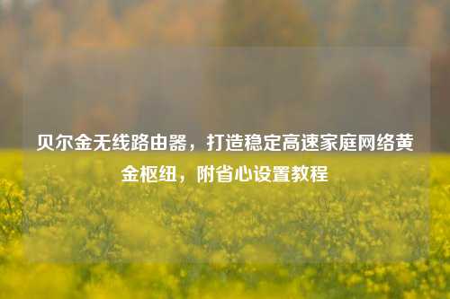 贝尔金无线路由器，打造稳定高速家庭网络黄金枢纽，附省心设置教程