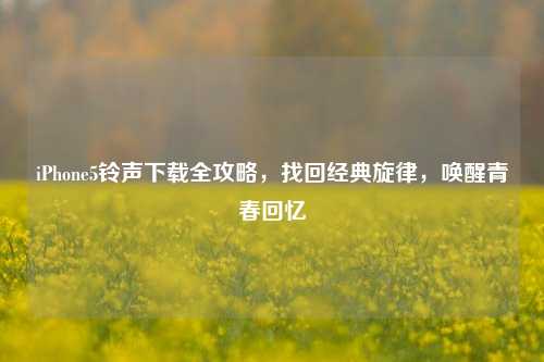 iPhone5铃声下载全攻略，找回经典旋律，唤醒青春回忆