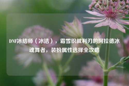 DNF冰结师(冰洁),霜雪织就利刃的阿拉德冰魂舞者,装扮属性选择全攻略