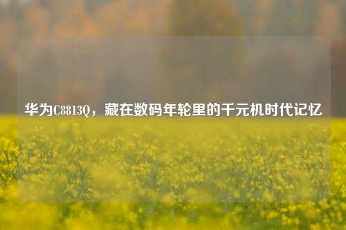 华为C8813Q,藏在数码年轮里的千元机时代记忆