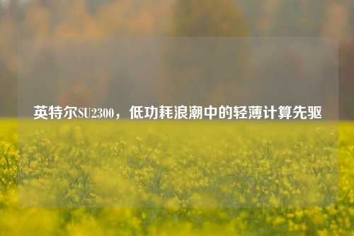 英特尔SU2300,低功耗浪潮中的轻薄计算先驱