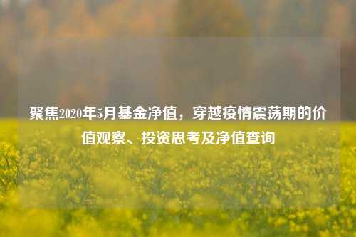 聚焦2020年5月基金净值，穿越疫情震荡期的价值观察、投资思考及净值查询