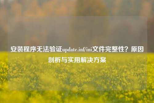安装程序无法验证update.inf/ini文件完整性？原因剖析与实用解决方案