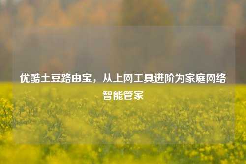 优酷土豆路由宝,从上网工具进阶为家庭网络智能管家
