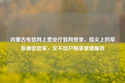 内蒙古电信网上营业厅官网登录，指尖上的草原通信管家，足不出户畅享便捷服务