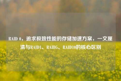RAID 0,追求极致性能的存储加速方案,一文厘清与RAID1、RAID5、RAID10的核心区别