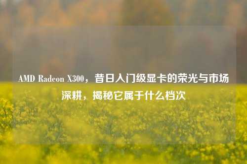 AMD Radeon X300,昔日入门级显卡的荣光与市场深耕,揭秘它属于什么档次