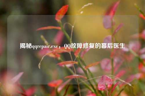 揭秘qqrepair.exe，QQ故障修复的幕后医生