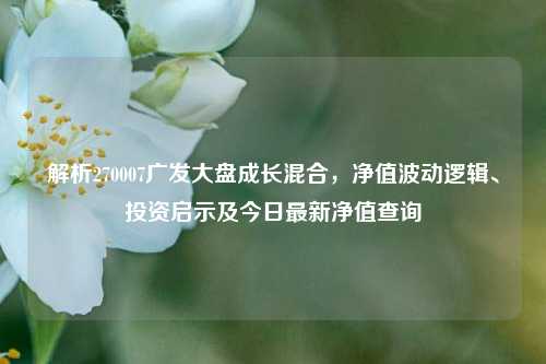 解析270007广发大盘成长混合，净值波动逻辑、投资启示及今日最新净值查询