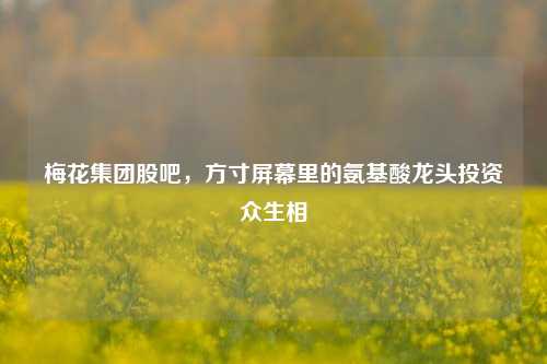 梅花集团股吧，方寸屏幕里的氨基酸龙头投资众生相