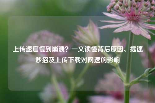 上传速度慢到崩溃？一文读懂背后原因、提速妙招及上传下载对网速的影响