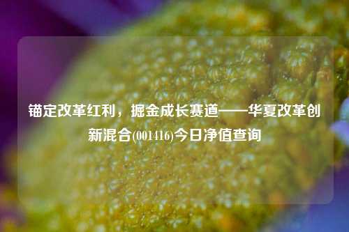 锚定改革红利，掘金成长赛道——华夏改革创新混合(001416)今日净值查询