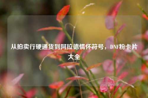 从拍卖行硬通货到阿拉德情怀符号，DNF粉卡片大全