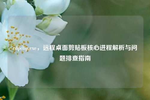 rdpclip.exe，远程桌面剪贴板核心进程解析与问题排查指南