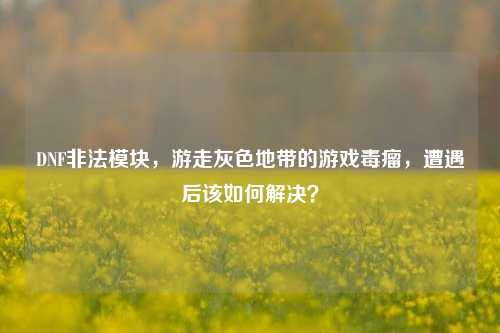 DNF非法模块，游走灰色地带的游戏毒瘤，遭遇后该如何解决？