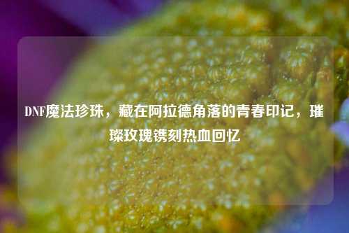 DNF魔法珍珠，藏在阿拉德角落的青春印记，璀璨玫瑰镌刻热血回忆