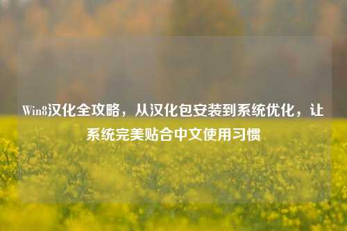 Win8汉化全攻略,从汉化包安装到系统优化,让系统完美贴合中文使用习惯