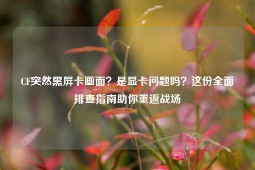 CF突然黑屏卡画面？是显卡问题吗？这份全面排查指南助你重返战场