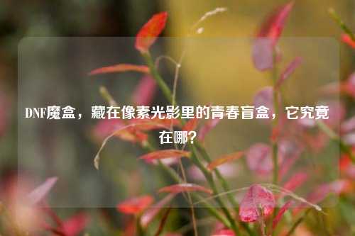 DNF魔盒，藏在像素光影里的青春盲盒，它究竟在哪？