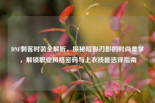 DNF刺客时装全解析，探秘暗影刃影的时尚美学，解锁职业风格密码与上衣技能选择指南