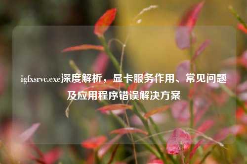 igfxsrvc.exe深度解析，显卡服务作用、常见问题及应用程序错误解决方案