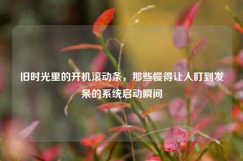 旧时光里的开机滚动条,那些慢得让人盯到发呆的系统启动瞬间