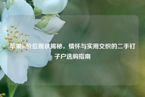 苹果6s价位现状揭秘，情怀与实用交织的二手钉子户选购指南