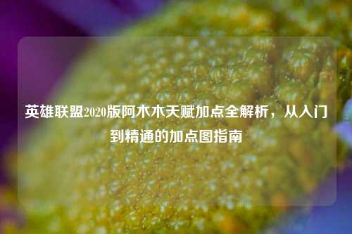 英雄联盟2020版阿木木天赋加点全解析，从入门到精通的加点图指南